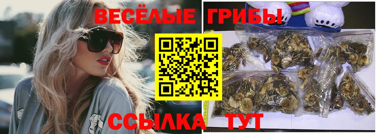 Псилоцибиновые грибы прущие грибы  Вход с VPN  Вичуга 